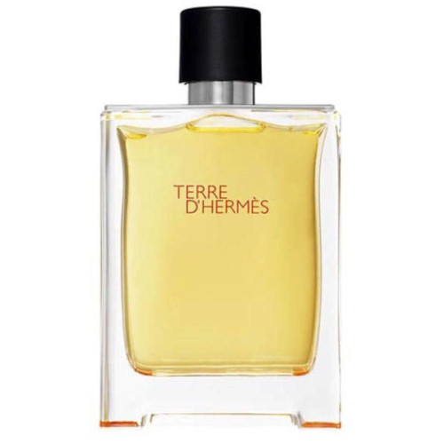 پرفیوم هرمس تق هرمس مردانه تند و تلخ - Hermes Terre dHermes درجه 1 (پس کرایه)