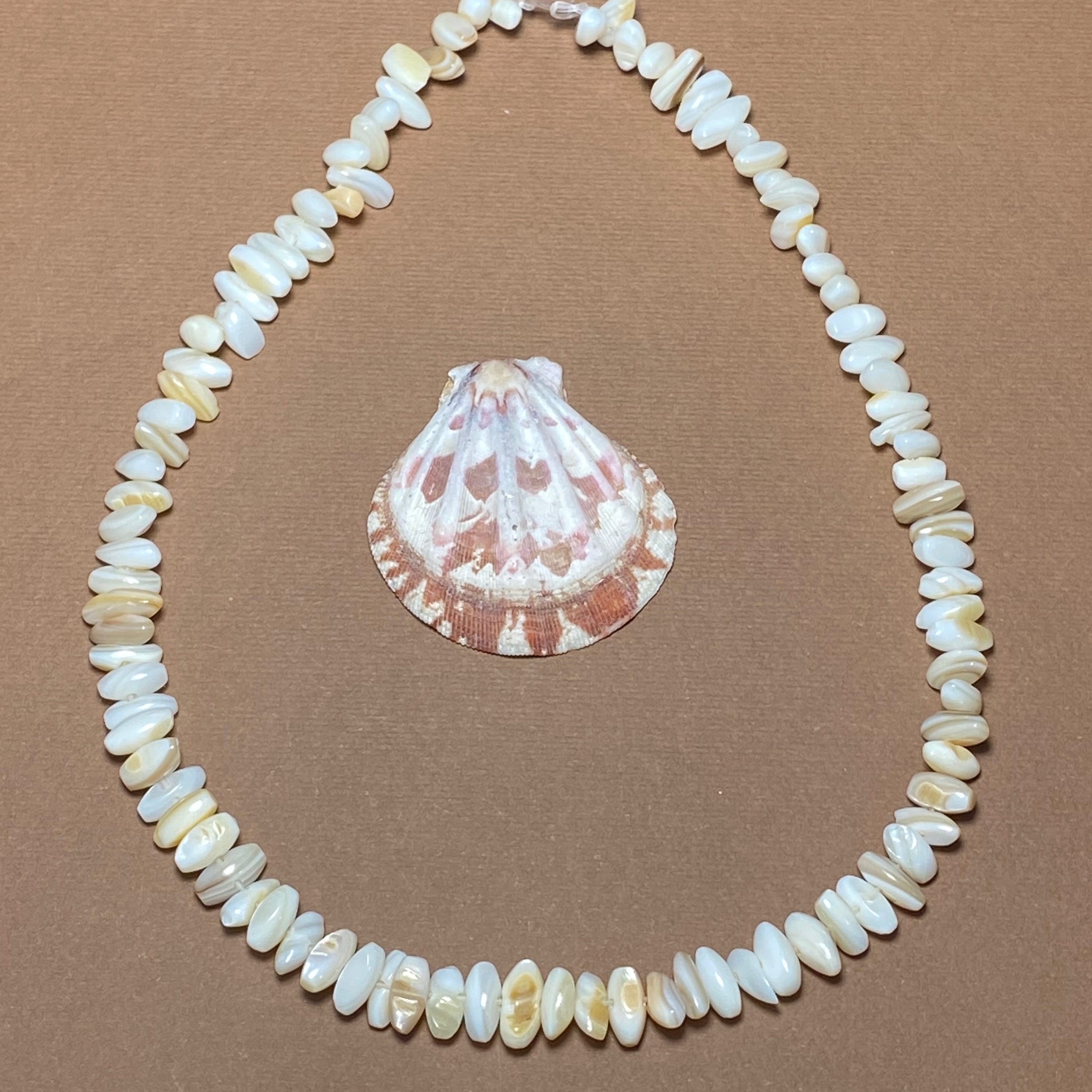 صدف طبیعی دفرمه ریسه کامل